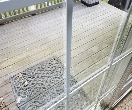 dirty deck soils berber carpet