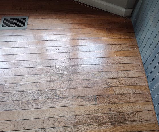 Medford Lakes sun fade scratches hardwood floors