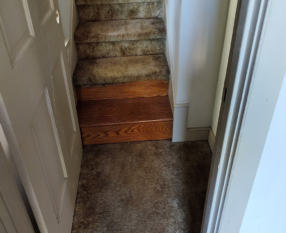 Moorestowntown home ugly entry- wood stairs under ugly trailer carpet