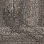 Reoccurring Carpet Stains