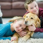 Carpet cleaning