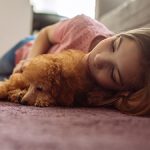 Carpet Cleaning NYC