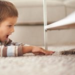 Kids, Pets, and Carpet