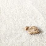 Remove Chewing Gum from Carpet