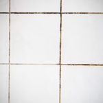 Dirty Grout Bathroom Tiles