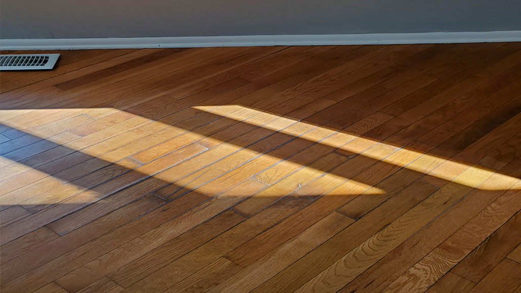The urine seeped into the edges of the hardwood boards and caused the finish to begin to peel