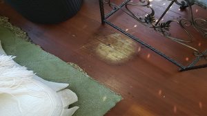 riverton vintage pine hardwood damage