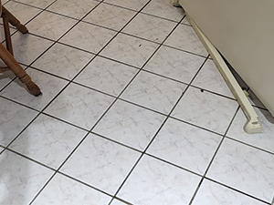 Dirty Stinky floor Grout