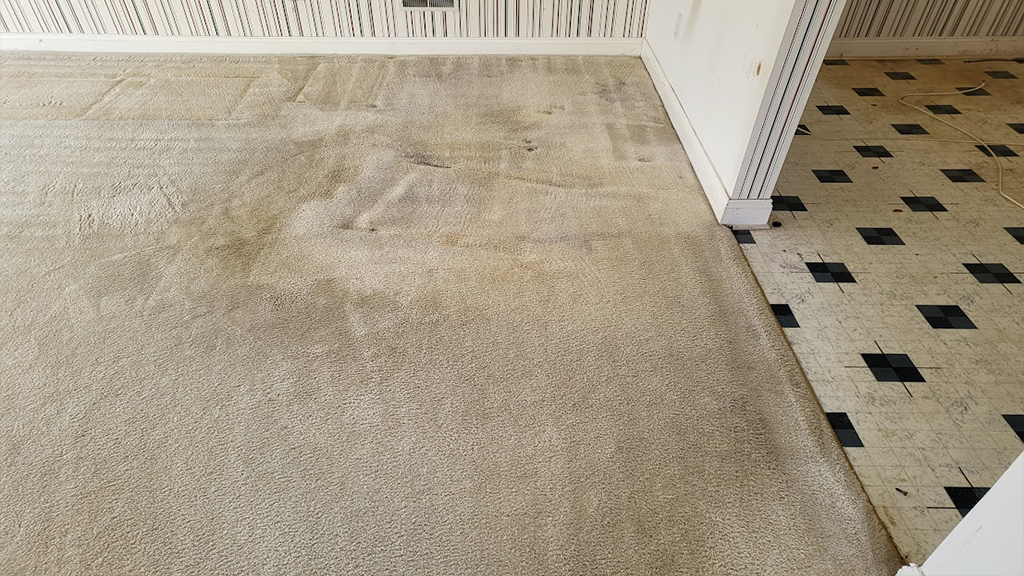 Amazing cleaning results Marlton family room carpet