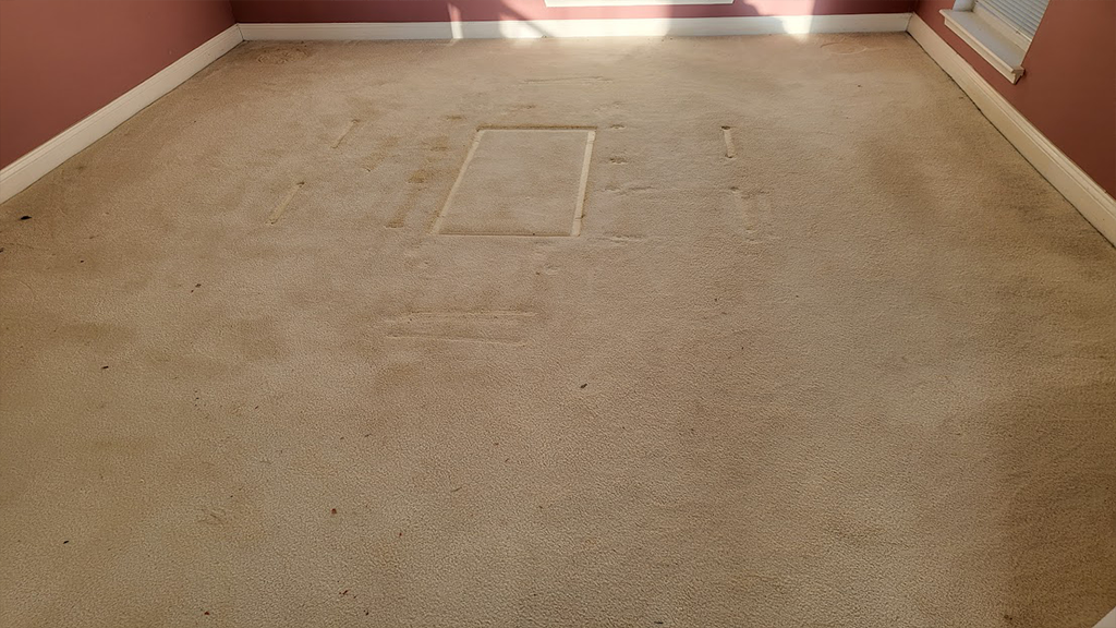 Dining room has yellowing, pad crush and spots that should clean up with steam cleaning