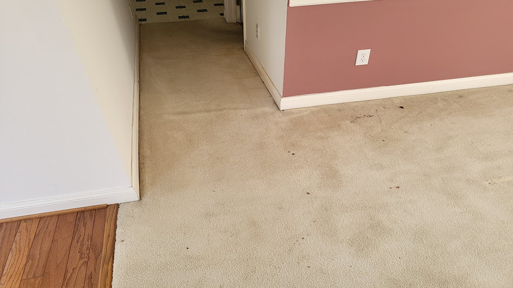 Drips, dribbles and spots on off white carpet before cleaning