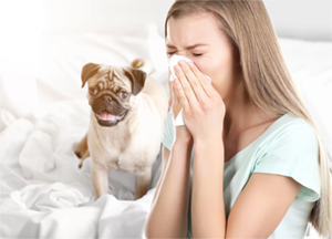 Sneezing from pet allergies