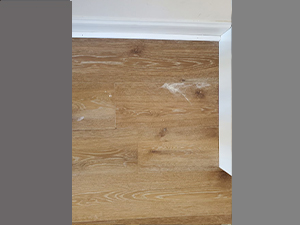 glue left on Medford engineered hardwood floor