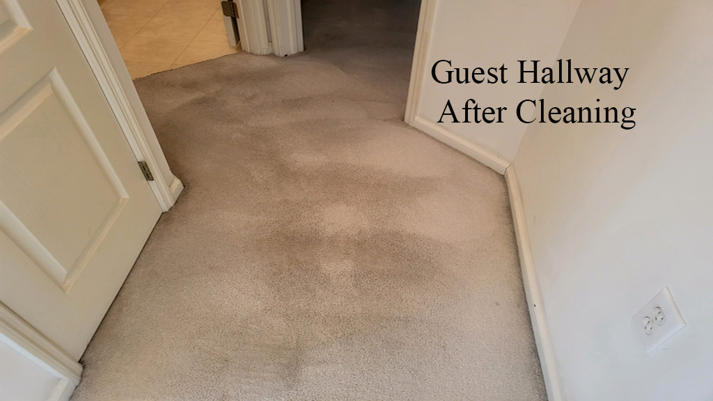 Deep hot water extraction done on carpet for nicotine cigarette smoke and traffic soiling