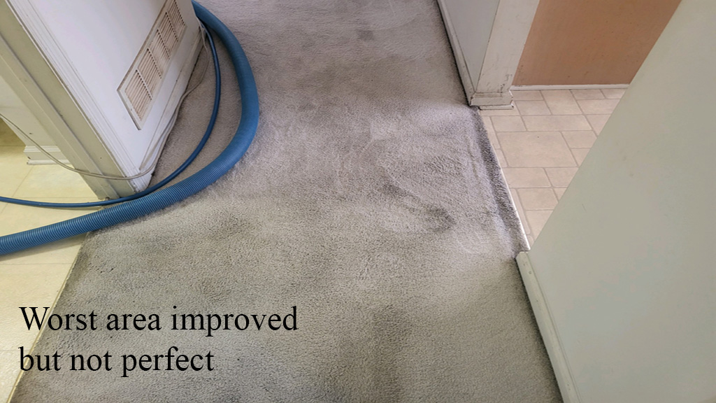 Heavy carpet soiling improved with RX-20 extraction