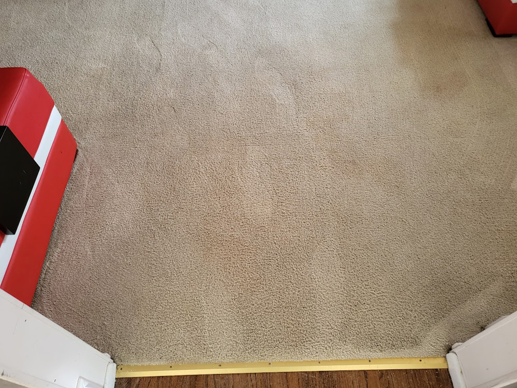 correcting brown out on carpet, fixing brown out on carpet, removing brown out in traffic lanes on carpet