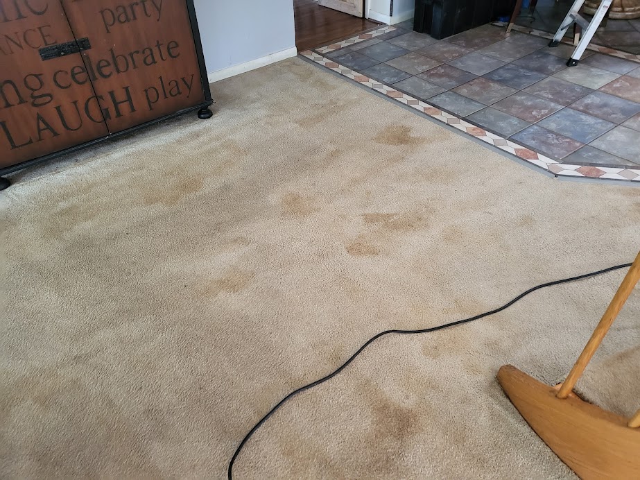 cleaned but over wet carpet will cause these brown spots, brown out to appear