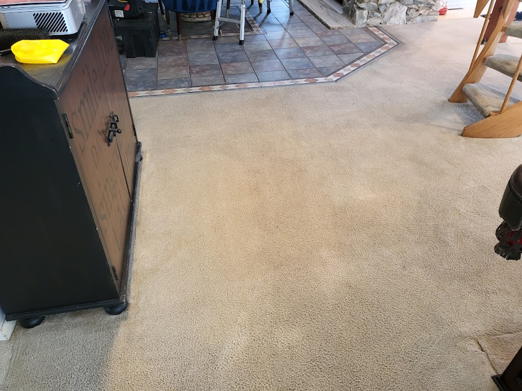 carpet cleaning with anti-browning agent, speed drying & bonnet drying reverses brown out