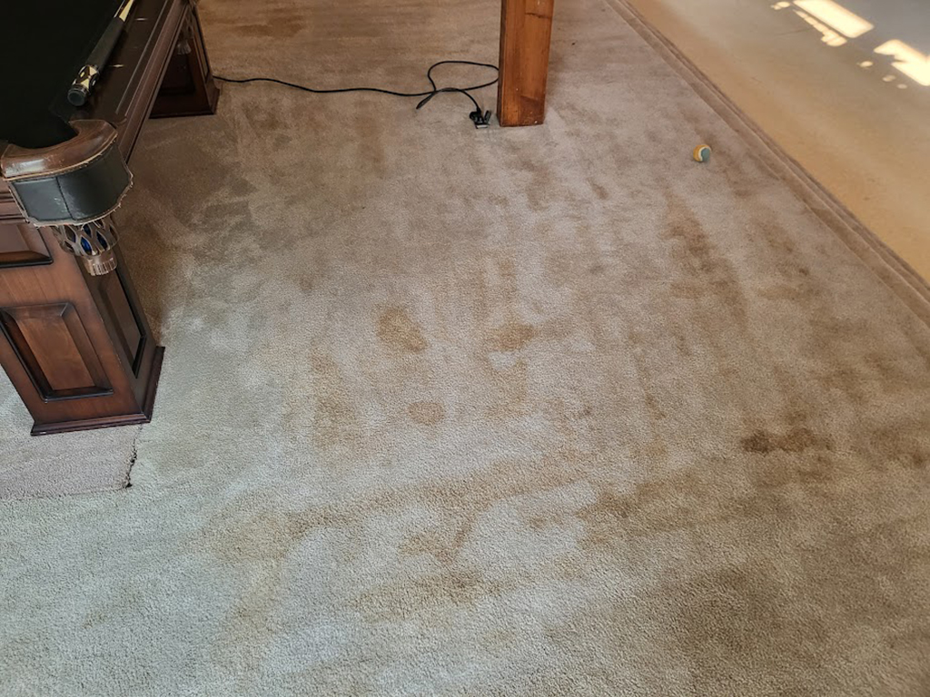 browned out carpet, over wet carpet, improper wand cause brown out carpet, clogged jet caused brown out carpet, suction problem brown out carpet