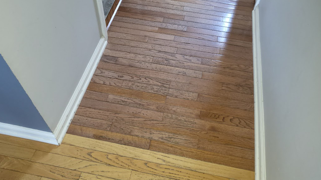 red oak damaged hardwood with different stains