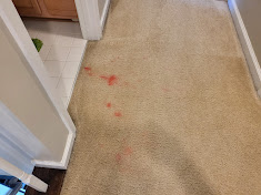 pink stain on carpet, pink vomit stain, red cheetos throw up on carpet