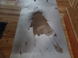 water spill on hardwood, moving damage avoided on hardwood floor, precaution to avoid hardwood floor damage