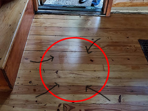 Water damage to newly finished hardwood floor