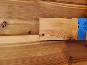 Matching hardwood floor color to hardwood paneling
