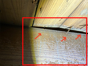 hardwood floor damage from poor installation