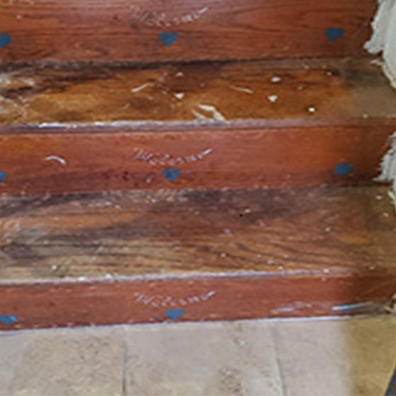 old cheap pine stairs with stencils