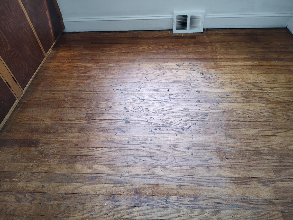 messy red oak hardwood floor needs refinishing