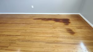 cherry hill pet dog urine on hardwood