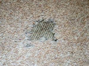 Hole-in-Carpet-300-x-225.jpg