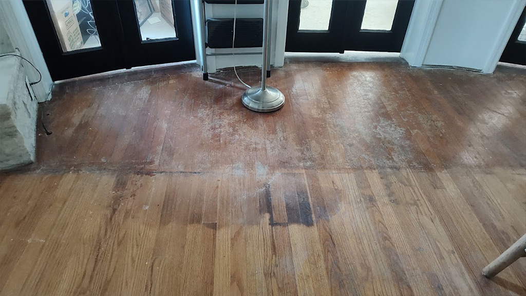 pet stains water stains uneven stain of wood floor