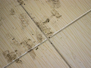 5-mistakes-300-x-225.jpg