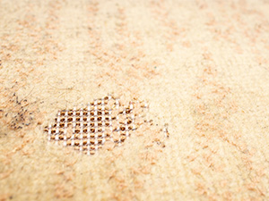 Worn-carpet-300-x-225.jpg
