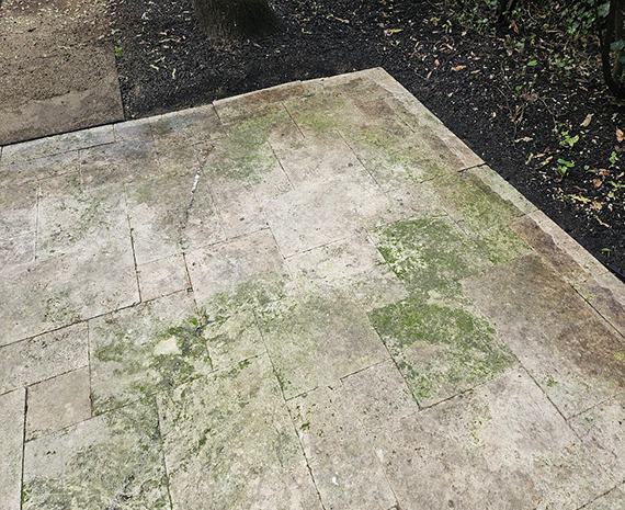 Travertine patio moss mold dirt before 570 x 465