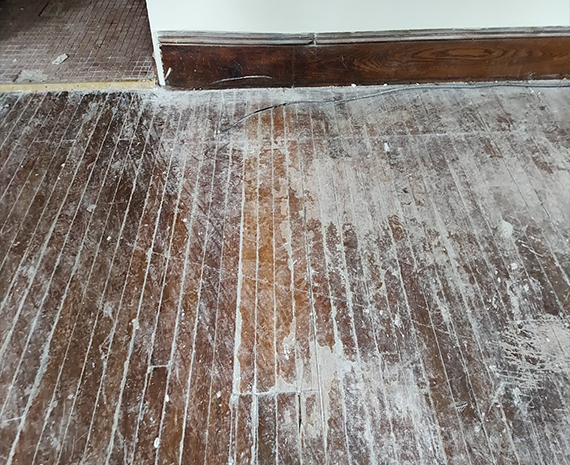 Kitchen wall view of living room where pine floor needs repairs too.