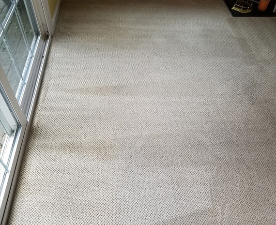 Clean berber carpet after hot water extraction 570 x 465