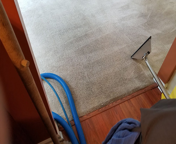Extraction wand cleaned berber carpet 570 x 465