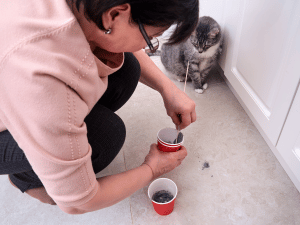 DIY-2.png