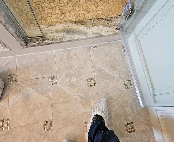 Mold removed outside walk in shower