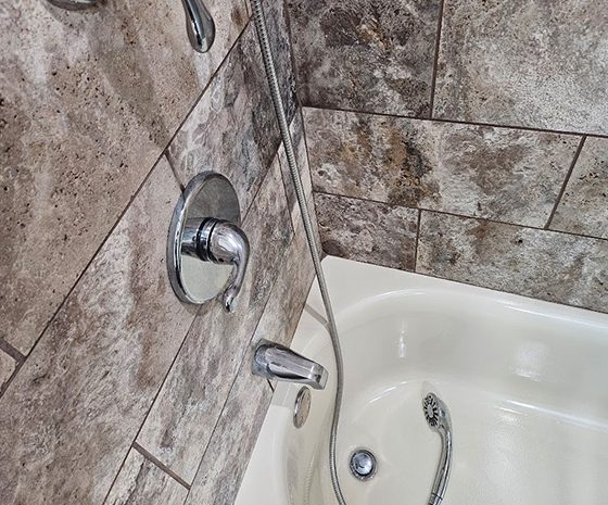 Germs live in dirty grout