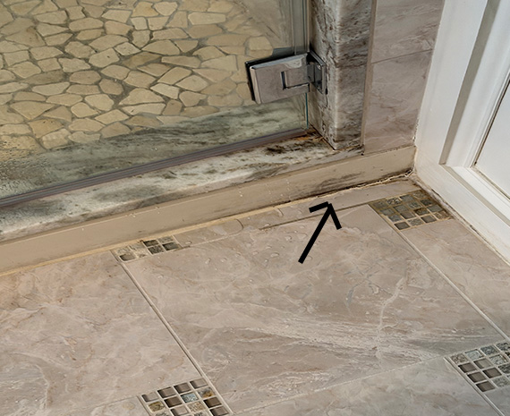 mold outside walk in shower