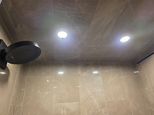 shower cleaning washington twp