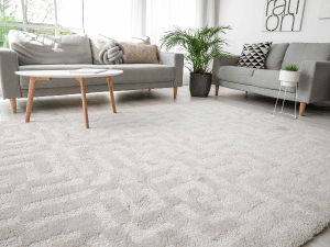 Bright living room with gray sofas, a wooden coffee table, and a plush beige rug. Plants brighten the space in natural light.