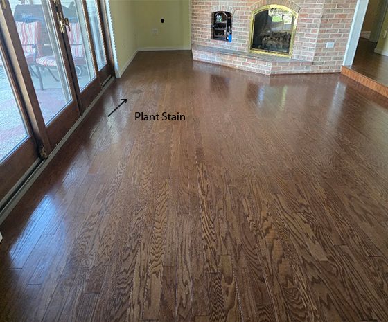 Engineered hardwood floor in Mullica Hill before refinishing with dark plant stain near patio doors.
